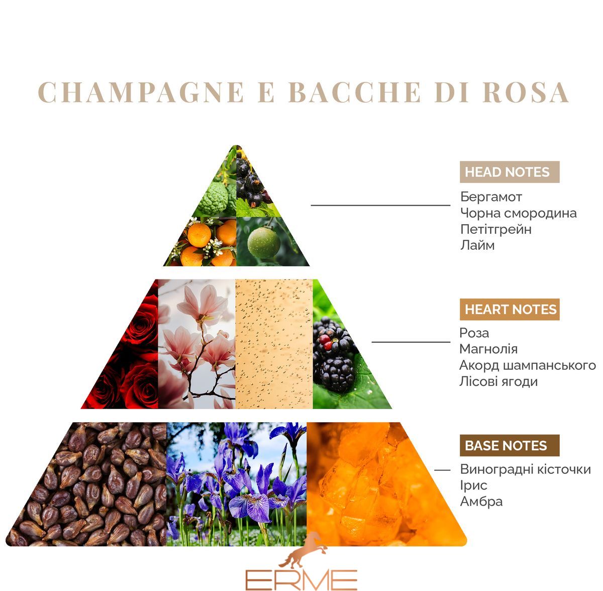 Интерьерные духи - Logevy Firenze - Champagne e bacche di rosa (Шампанское & Розовые ягоды), 100 мл