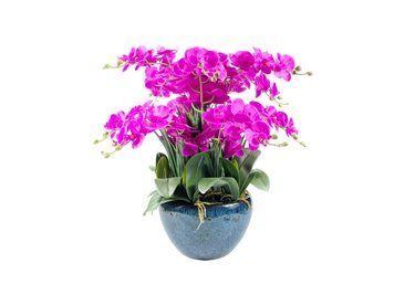 Ароматична композиція Cote Noire Centrepiece - Fuchsia, Під замовлення (доставка від 4-х тижнів)