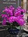 Aromatic composition Cote Noire Centerpiece - Fuchsia, Under the order (delivery from 4 weeks)