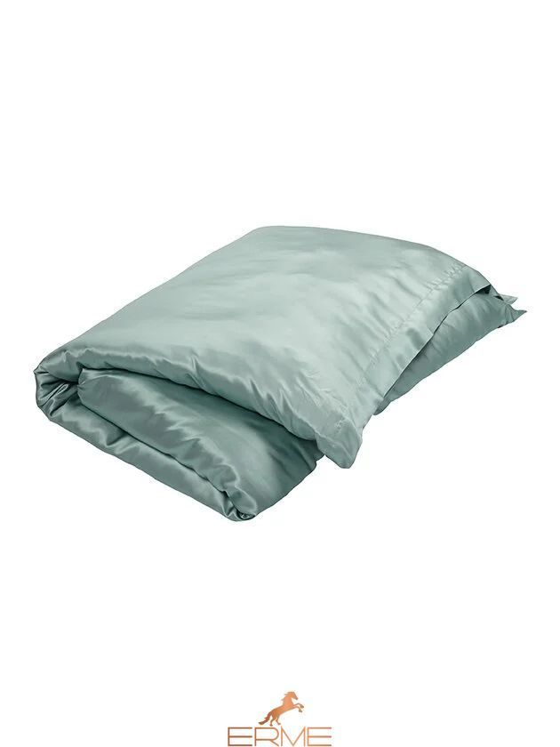 Gingerlily Teal Silk Bedding, 50x75 (2pc), 200x200, 160x200 with elastic