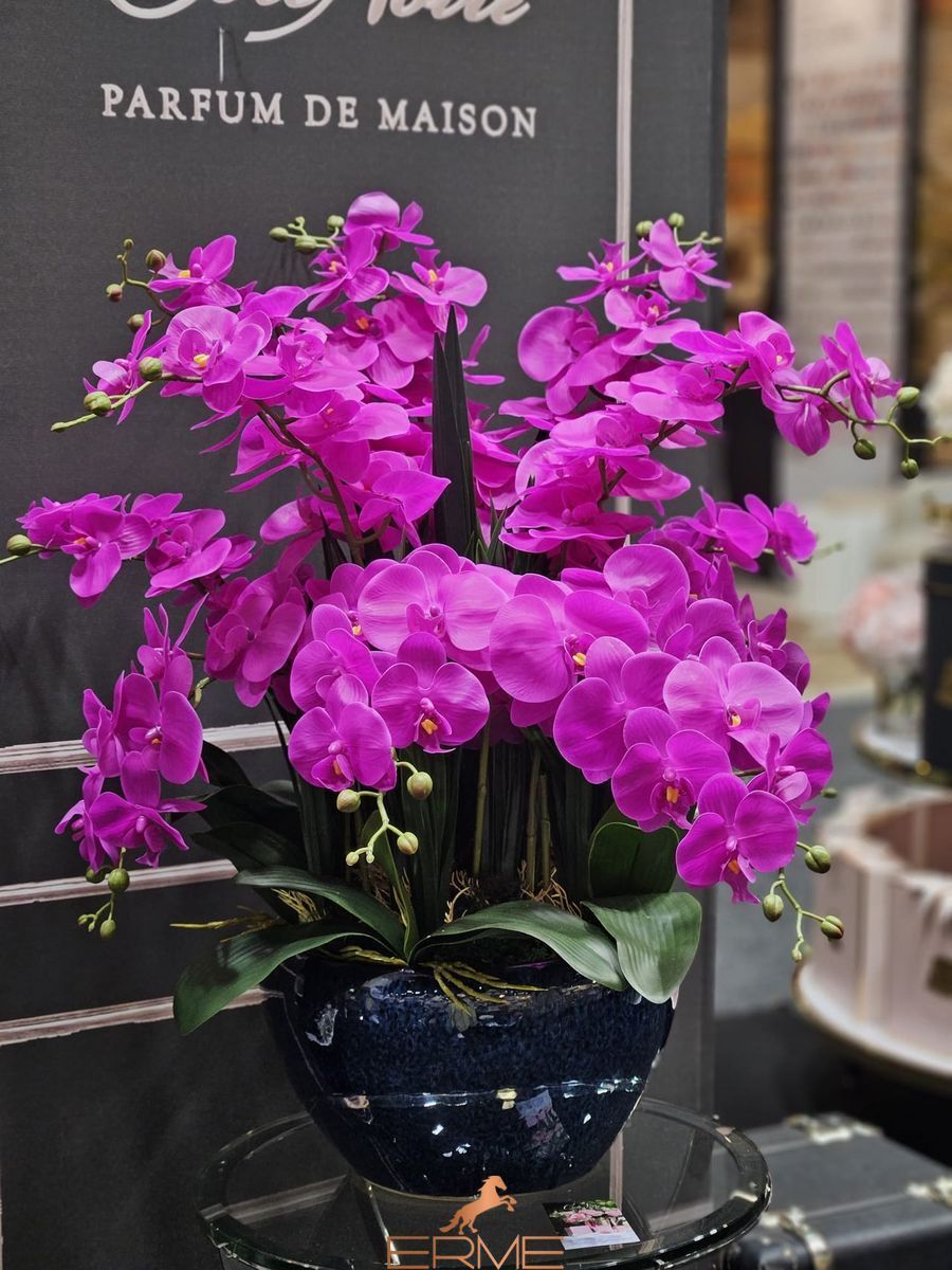 Aromatic composition Cote Noire Centerpiece - Fuchsia, Under the order (delivery from 4 weeks)
