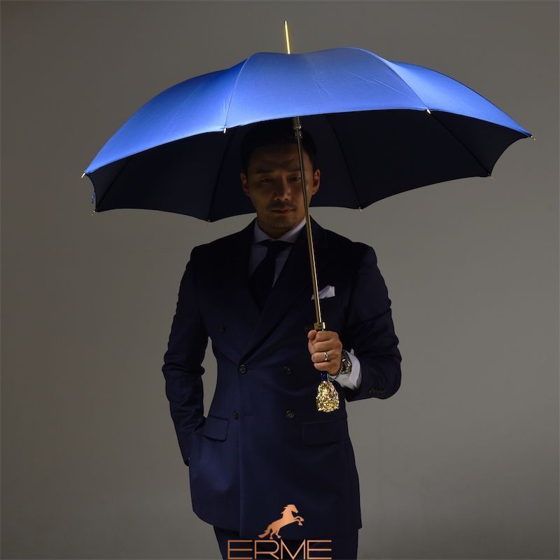 Umbrella - BLUE GOLD LION, 110 cm, 95,00 сm, For man