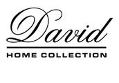 David home