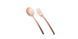 Столовые приборы Mepra - Due Bronzo, 24