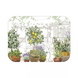 Поднос Garnier Thiebaut - Jardin Provencal Olive