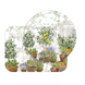 Поднос Garnier Thiebaut - Jardin Provencal Olive