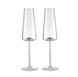 Rogaska Armonia - Champagne glass - set of 2 pcs, 264мм, 64мм, 250 ml