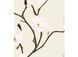 Bed linen Signoria Firenze Sanremo IVORY / PINK, 50x75, 155x200 (2pc), 270x290