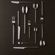 Набор столовых приборов Sambonet Velvet Mirror Steel