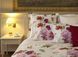 Bed linen Signoria Firenze Rugiada, 50x75, 155x200 (2pc), 270x290