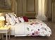 Bed linen Signoria Firenze Rugiada, 50x75, 155x200 (2pc), 270x290