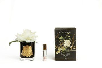 Ароматична композиція Cote Noire одна троянда - Ivory, Під замовлення (доставка від 4-х тижнів)