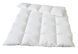 Traumina duvet - PLUME BIO DAUNE Medium, 135x200, 560 гр