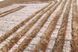 Carpet Serge Lesage - Flow 1 rose brumeux