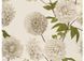 Bed linen Signoria Firenze - Giorgina IVORY / NATURAL, 50x75 (2pc), 155x200 (2pc), 270x290