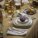 Alexandre Turpault FLORENCE Sienne linen OFG tablecloth 170x170 cm