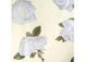 Bed linen Signoria Firenze Levanto CAMELIA, 50x75, 155x200 (2pc), 270x290