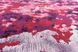Carpet Serge Lesage - Earth rouge cardinal