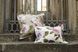 Bed linen Signoria Firenze Camelia IVORY, 50x75, 200x220, 270x290