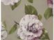 Постільна білизна Signoria Firenze Camelia KHAKI, 50x75, 155x200 (2шт), 270x290