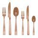 Набір столових приборів Sambonet Flat Vintage PVD Copper