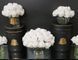 Aromatic composition of Cote Noire roses in a crystal bowl - White, Under the order (delivery from 4 weeks)