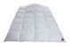 Одеяло гагачий пух Hefel Eiderdown GD Light Демисезонное облегченное, 140x200, 320 гр