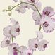 Bed linen Signoria Firenze Volterra, 50x75, 155x200 (2pc), 270x290