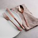 Набор столовых приборов Sambonet Taste Mirror PVD Copper