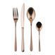 Набор столовых приборов Sambonet Taste Mirror PVD Copper