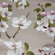 Bed linen Signoria Firenze Alicudi, 50x75 (2pc), 155x200 (2pc), 270x290