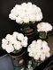 Aromatic composition Cote Noire Centerpiece - White / Gold, Under the order (delivery from 4 weeks)