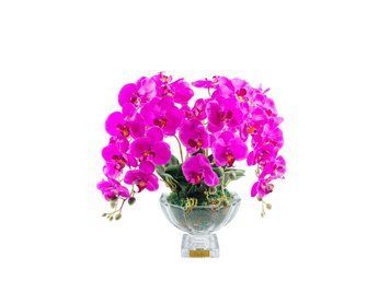 Ароматична композиція Cote Noire Centrepiece - Fuchsia, Під замовлення (доставка від 4-х тижнів)