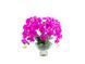 Aromatic composition Cote Noire Centerpiece - Fuchsia, Under the order (delivery from 4 weeks)